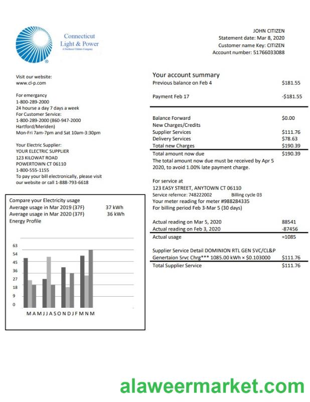 USA Connecticut Light & Power electricity utility bill in Word and PDF format